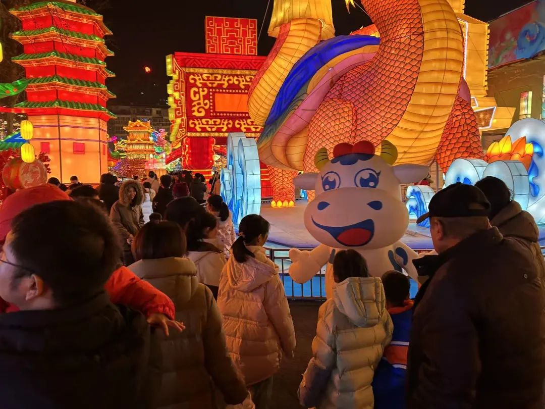 央視直播鄭州龍年燈會迎新春，花花牛品牌上大分