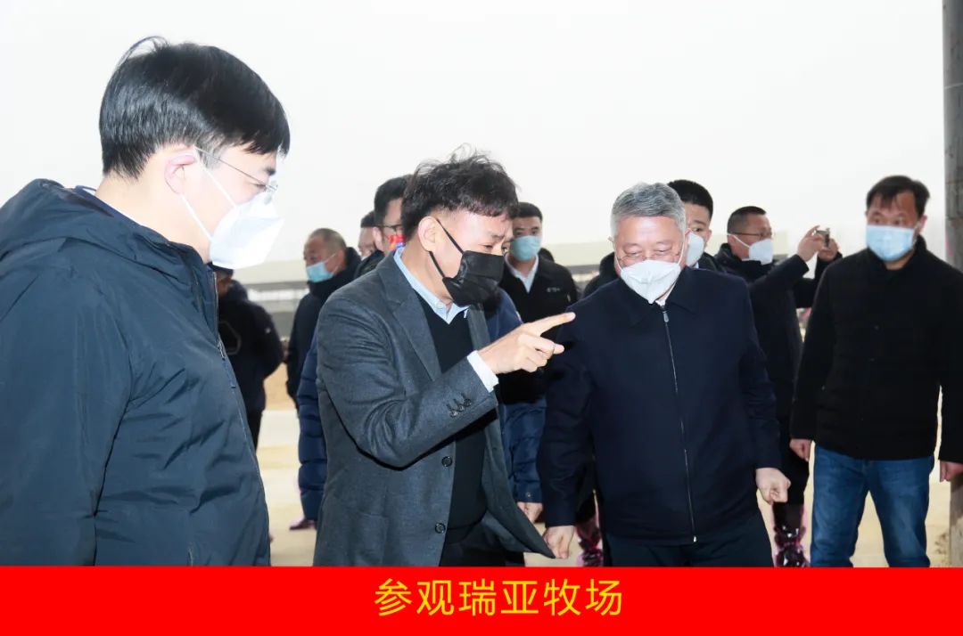 新年開新局 合作促發(fā)展丨佳木斯市委常委、副市長(zhǎng)閆志剛一行蒞臨花花牛乳業(yè)集團(tuán)及佳田企業(yè)考察座談