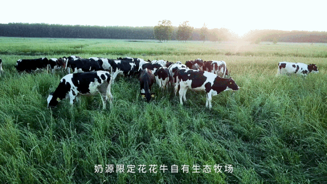 快訊 | 長江商學(xué)院智能制造學(xué)會走進花花牛乳業(yè)集團