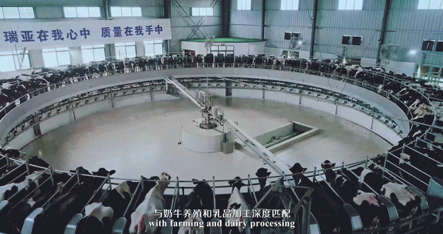 快訊 | 河南省委常委、省紀(jì)委書記、省監(jiān)委主任任正曉蒞臨花花牛乳業(yè)集團(tuán)新蔡瑞亞牧場調(diào)研