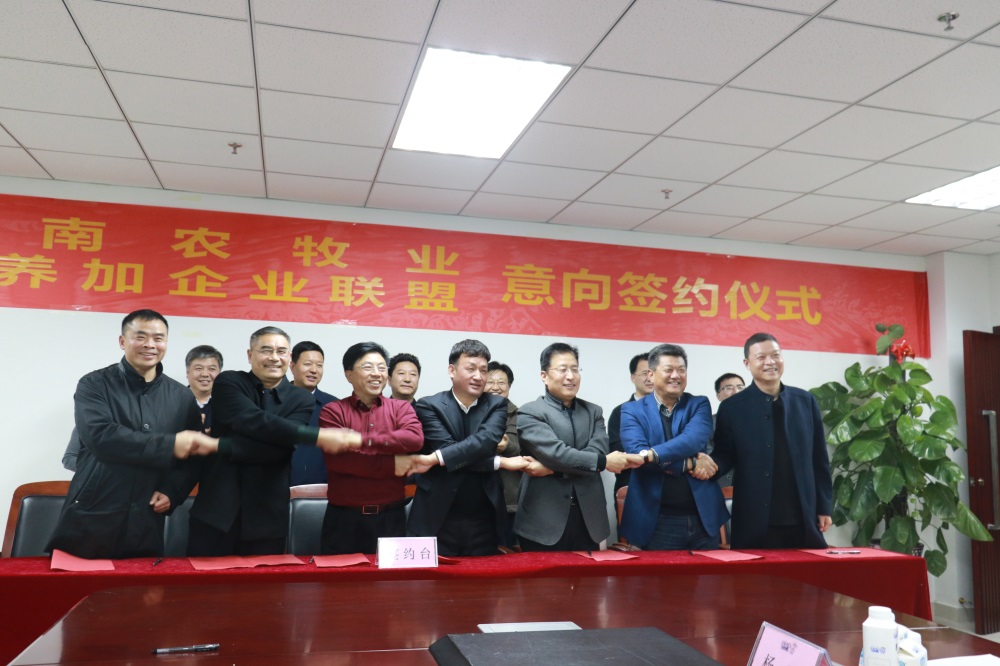 涉農(nóng)企業(yè)強(qiáng)強(qiáng)聯(lián)合，“抱團(tuán)取暖”共迎企業(yè)發(fā)展的春天