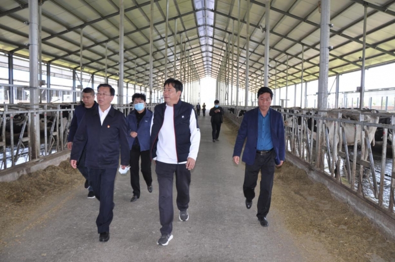 商丘市委常委、宣傳部部長王全周一行蒞臨睢縣瑞亞牧業(yè)有限公司調研