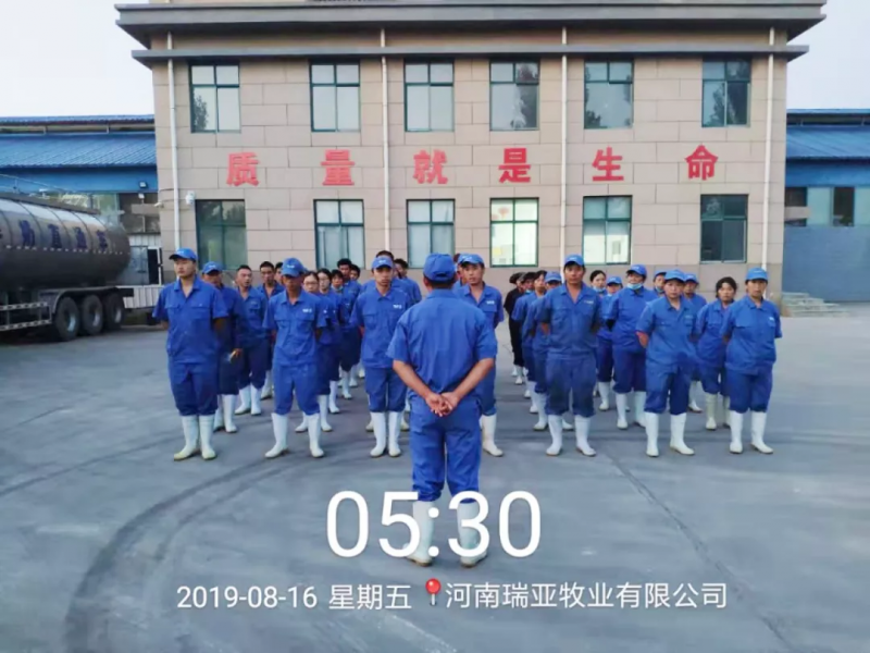 小晨會(huì)·大能量——砥礪奮進(jìn)的花花牛，加油！